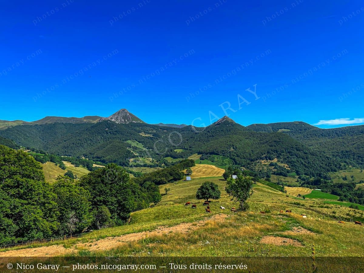 Mandailles-Saint-Julien 25