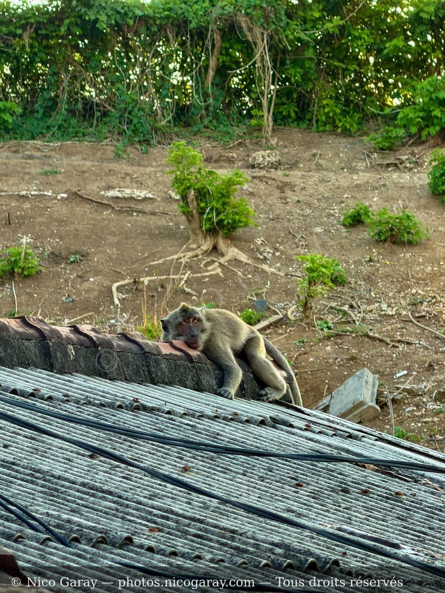 Kuta Selatan