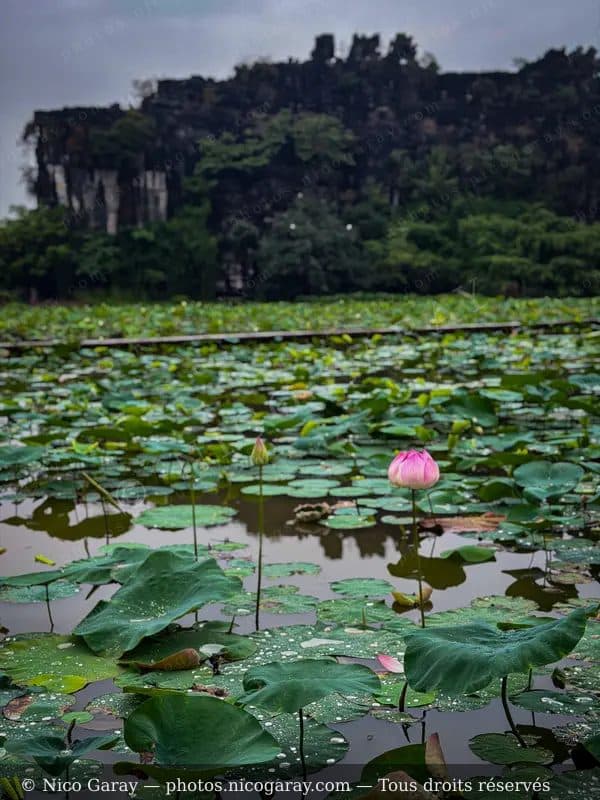 Hoa Lư (ville) 11