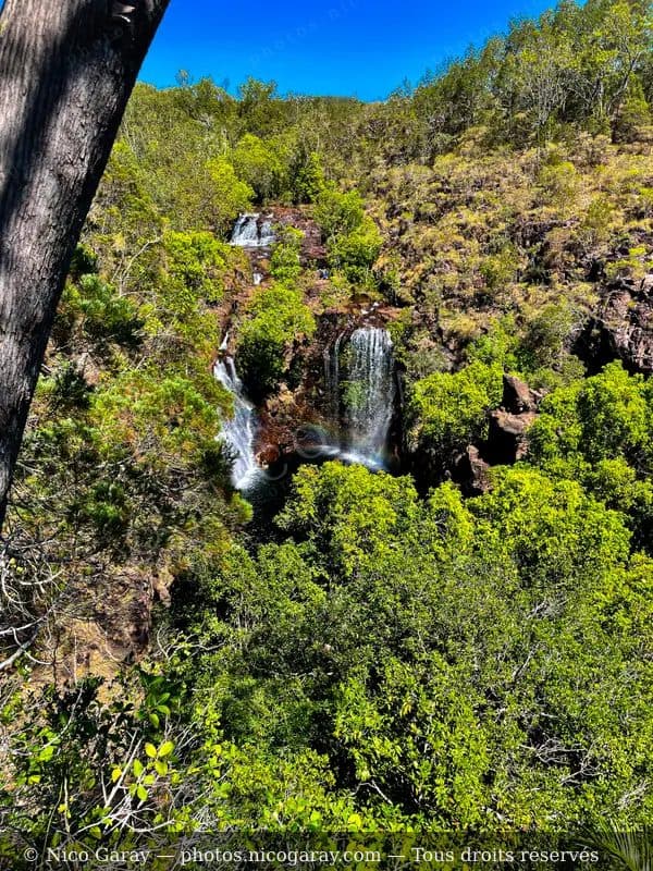 Litchfield Park